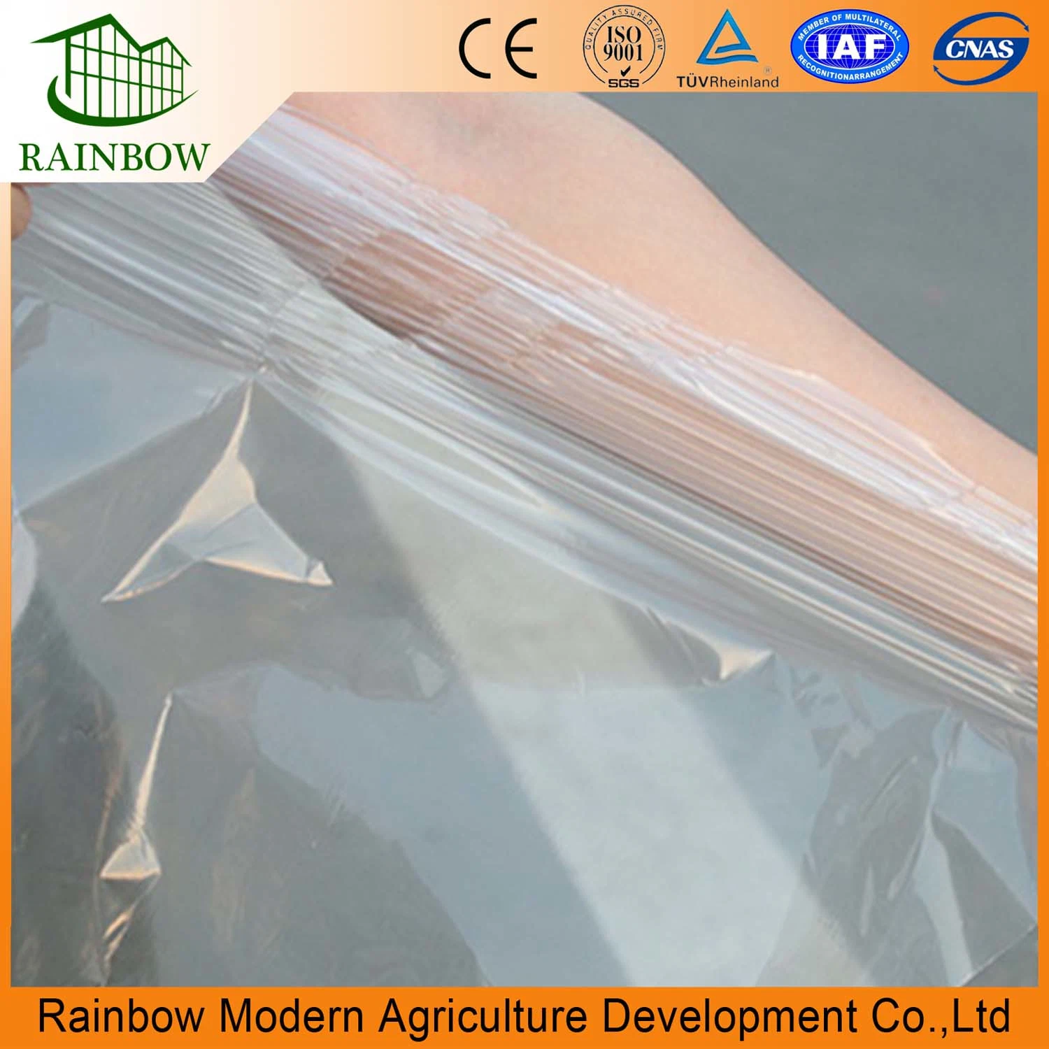 Plastic Film for Greenhouse Green House Plastic Agricultural Film