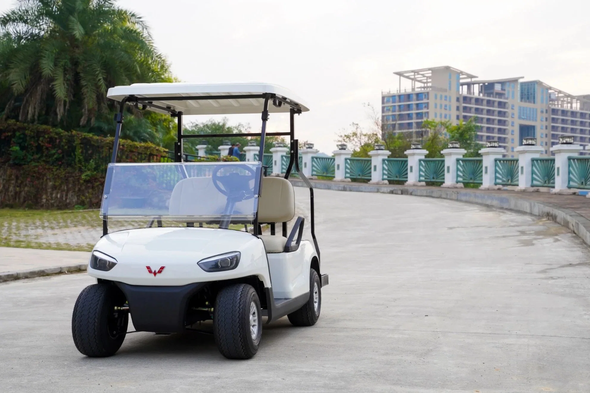 China Supplier Golf Cart Custom 2 4 6 Seater Golf Car Utility Vehicles