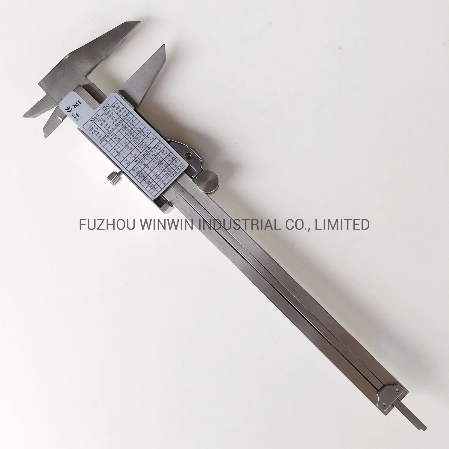 Economical Model Stainless Steel Digital Caliper with Metal Case (WW-DC09B)