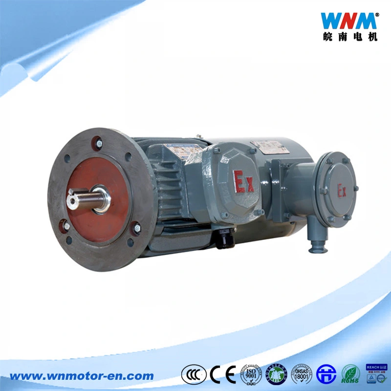 Yvf Yvp Frequency Variable Three Phase AC Electric Motor VFD Inverted Duty 5~100Hz Squirrel Cage Induction Motors 0.18~375kw