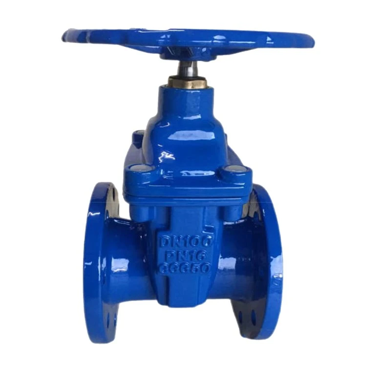 DIN BS SABS Soft Seated Resilient Ductile Iron Gate Valve