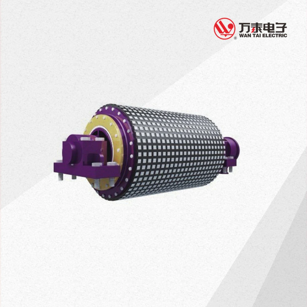 Low Speed High Torque Equipment General Purpose Permanent Magnet Synchronous Motor