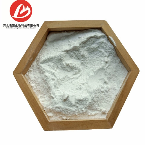 Factory Supply High quality/High cost performance Injection Grade CAS 182410-00-0 Betadex Sulfobutyl Ether Sodium Cyclodextrin