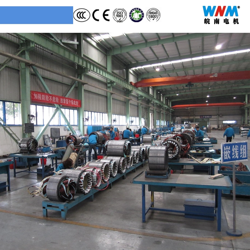 High-Voltage AC Motor 1000 Kw 10 Kv 4p Engine for The Machine on The Metal