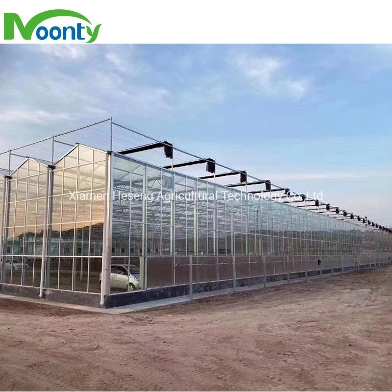 Modern Agricultural Velo Multi-Span Glass House High quality/High cost performance Solar Glass Greenhouse with Automatic Control System