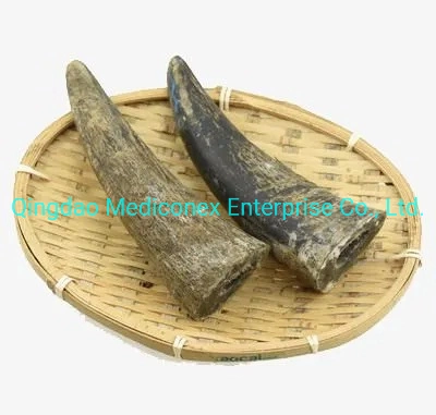 Lithospermum Erythrorhizon Root Prepared Traditional Chinese Herbal Medicine Heat Clearing Blood Cooling