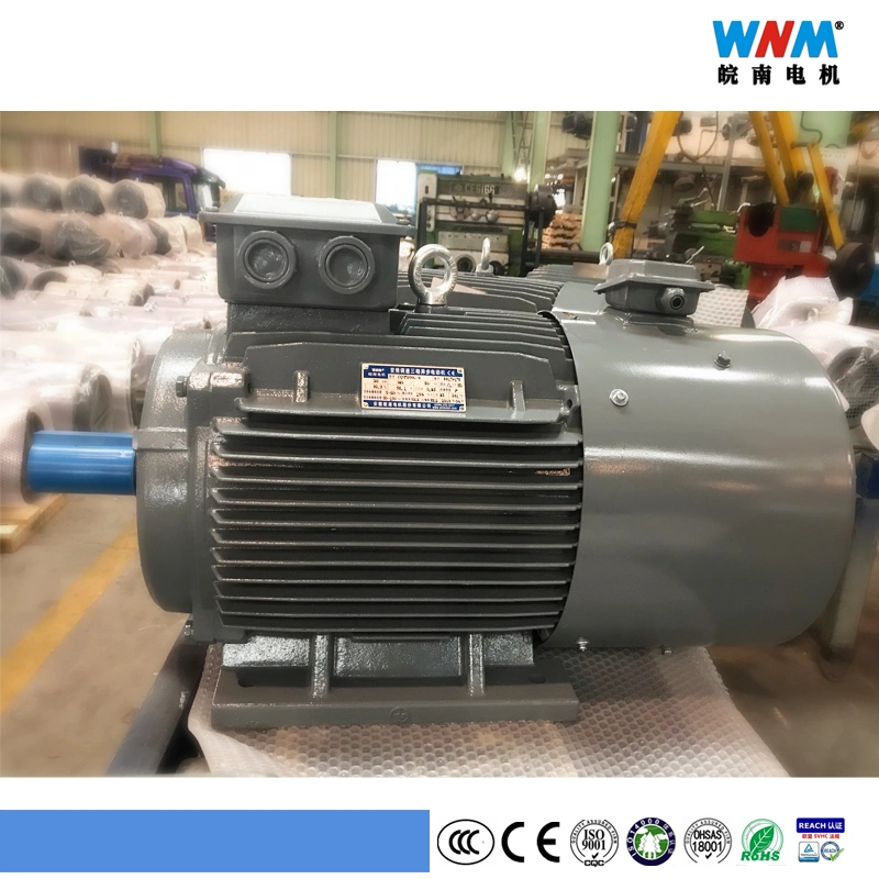 Variable Frequency VFD Control Three Phase AC Eletcric Motor Yxvf180 11kw 15kw 18.5kw 22kw Wnm Motor