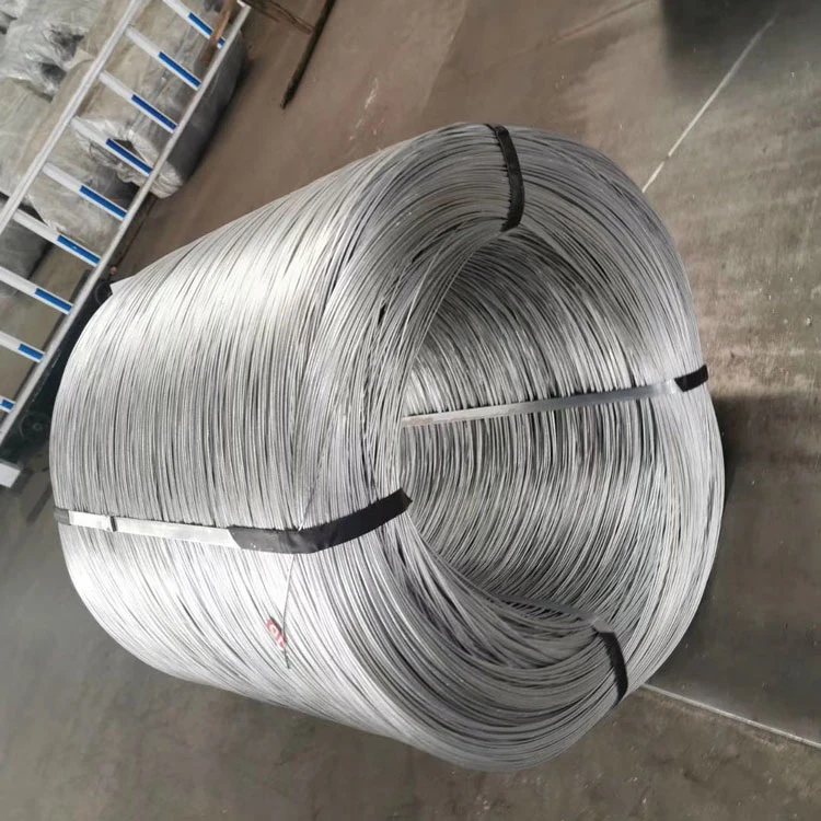 Flexible 201 410 430 316 304 304L Ss Stainless Steel Wire