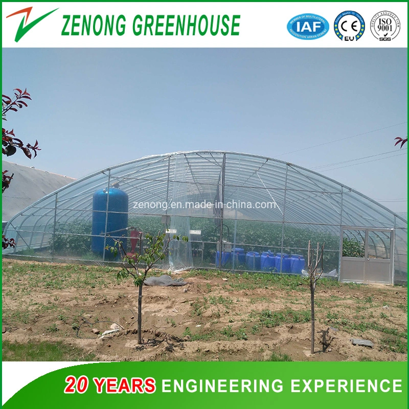 Poultry Greenhouse Film Cover Tunnel Film Greenhouse