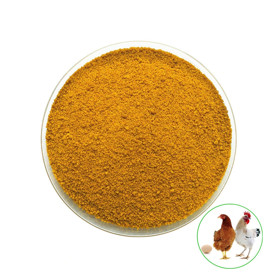 Cgm 60% Corn Gluten Feed Price for Poultry Feed Additives