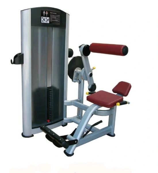 Strength Gym Equipment Back Extension, Commercial Fitness Machine