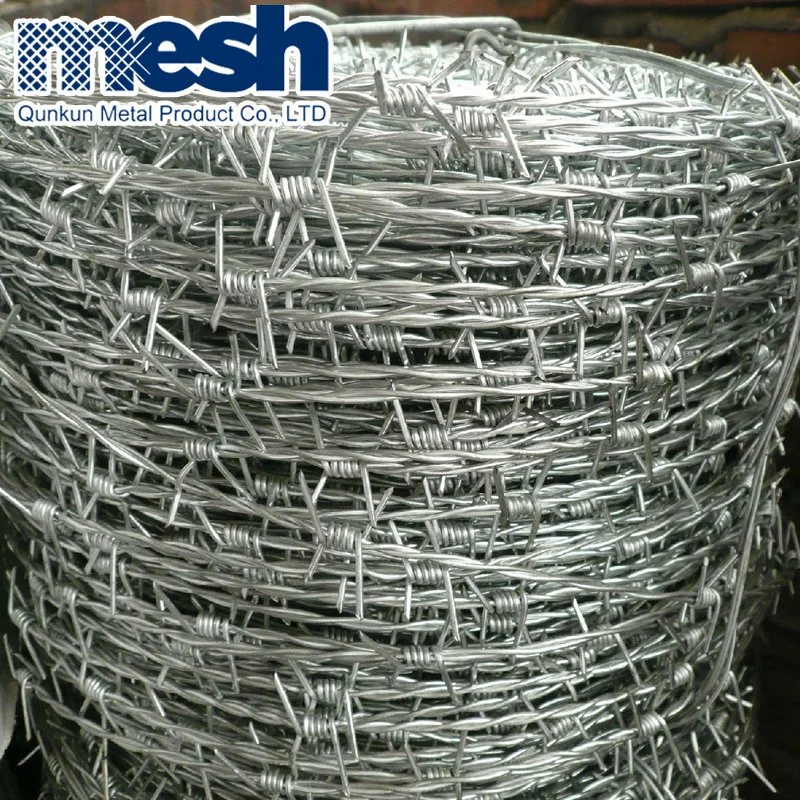 Hot-Dipped Galvanized Barbed Wire for Airport Security Fence