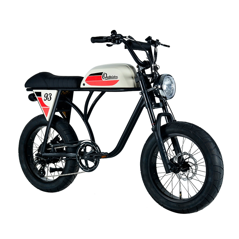 Desert off Road Ebike for Saudi Arabic Motorized Electric Bike with Fat Tire for Outdoor Enthusiasts