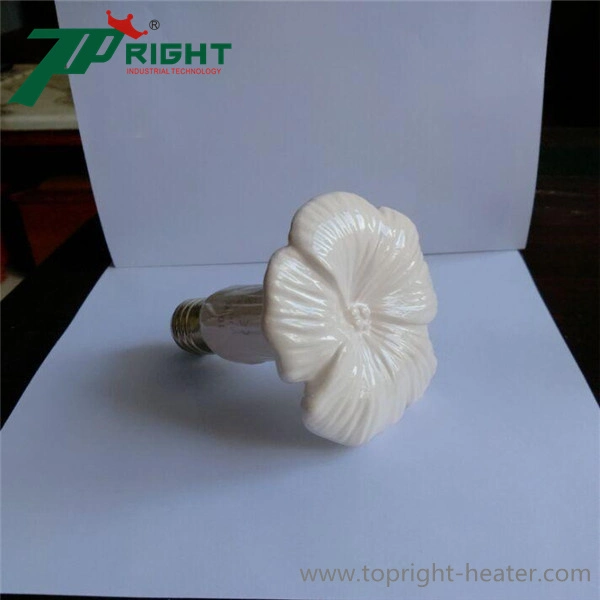 Wholesale/Supplier E27 220V Reptile Heat Lamp Infrared Bulb Ceramic Heat Lamp