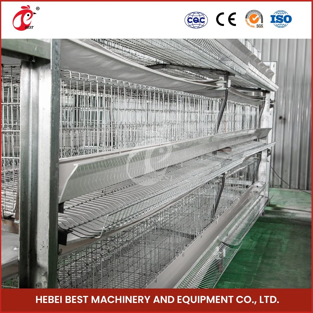 Tipo H Bestchickencage jaula pequeña jaula criadora China Arch bebé Gallina Coop Fabricante ODM esquina personalizado material galvanizado Pullet Gallina Gallinero