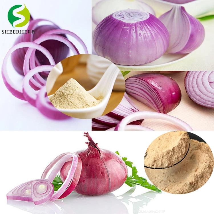 100% de poudre naturelle et pure d'oignon rouge pour l'alimentation Additifs et condiments