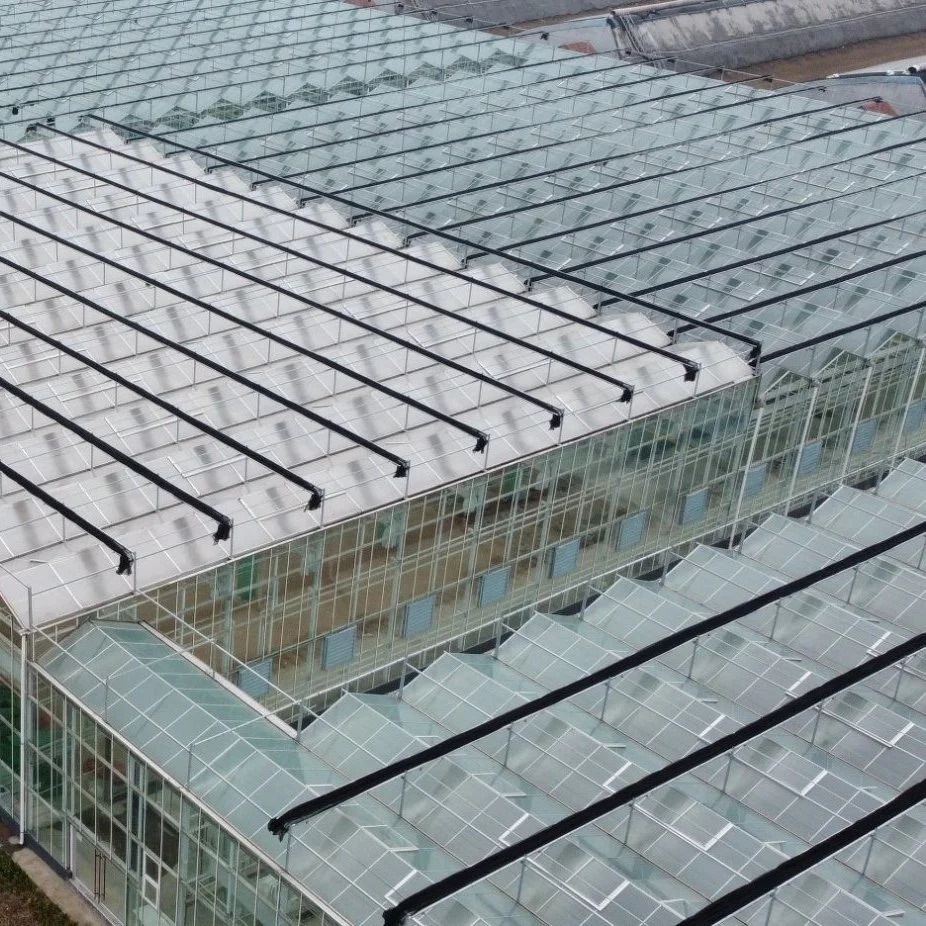 Commercial Galvanized Steel Frame Glass Green House for Vegetables and Fruit