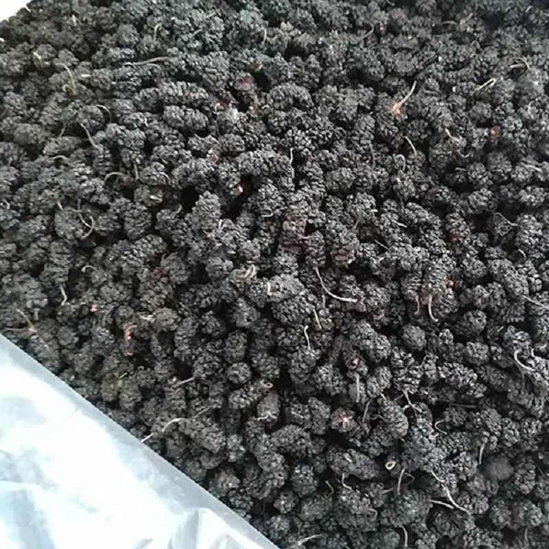 Sharesang Shen séché naturel de fruits noirs Mulberry mûrier à sec le commerce de gros