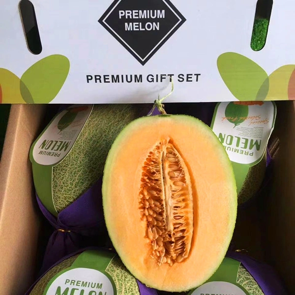 Le Melon Premium