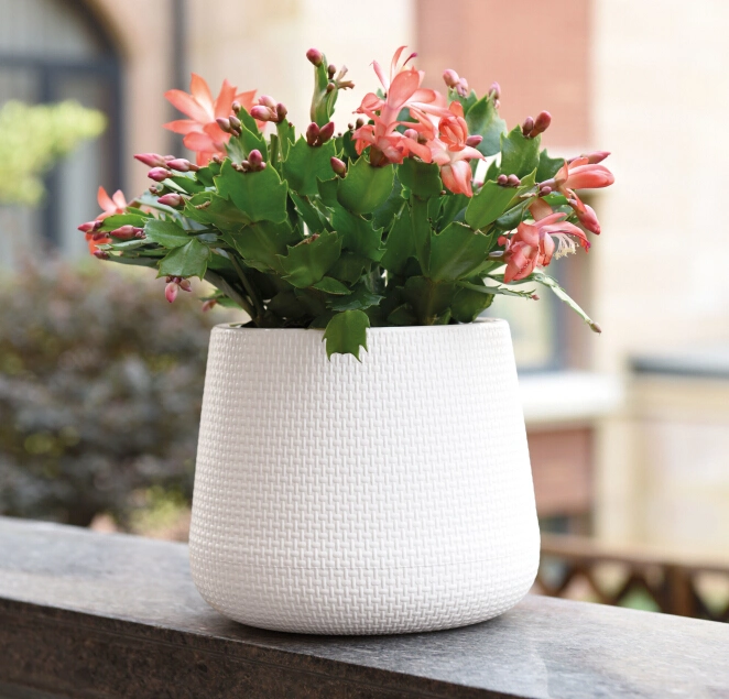 Decoration Self-Watering Plastic Flower Pot (KD2211-KD2214)