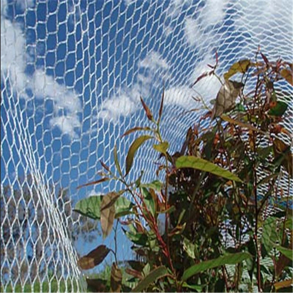 Hot Selling Commercial Plastic Mesh Anti Bird Netting