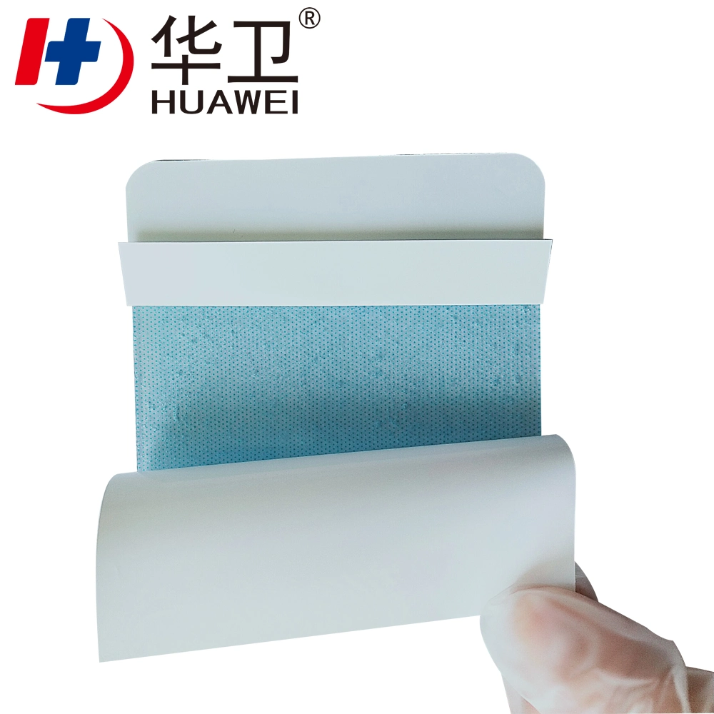 Chinese Manufacture Medical Sterile Hydrogel Wound Dressing for Minor Burns Healing Aquogel Wound Dressing Health Care OEM Wholesale/Supplier