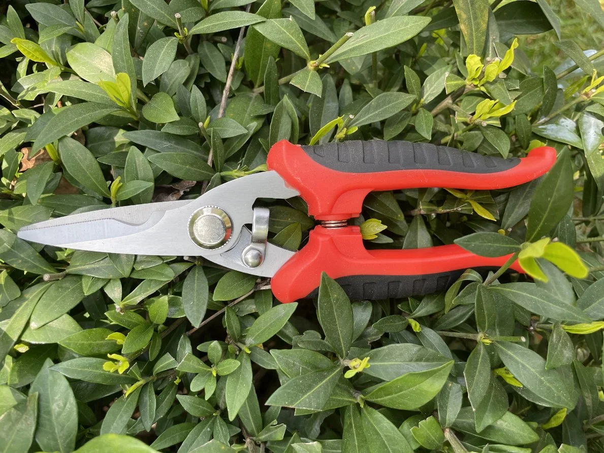 Garden Scissors Straight Blade Pruning Shears