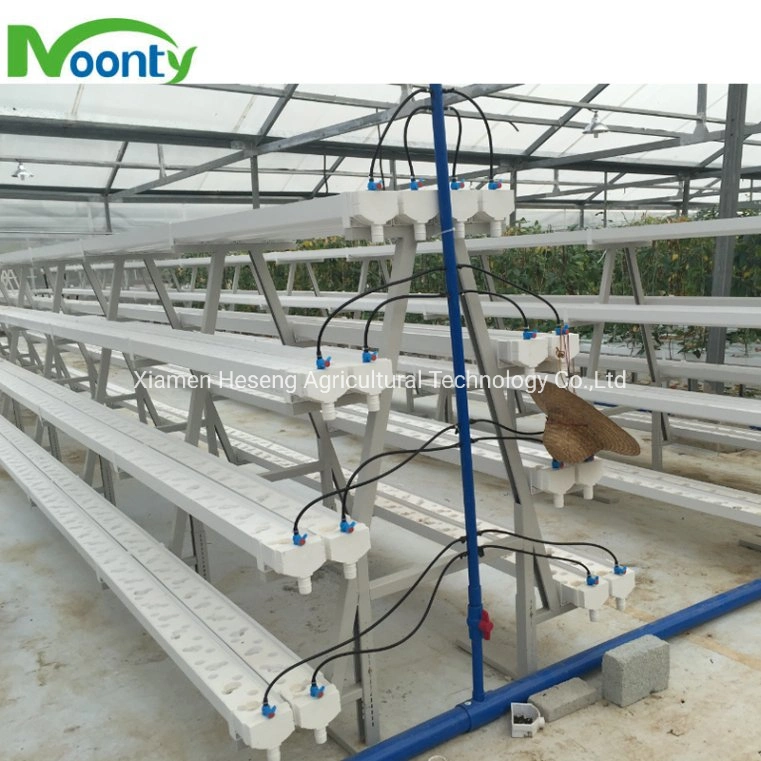 Customized Nft Hydroponics Grow System Agricultural Farm Vertical Grow System for Strawberry Cucumber Pepper