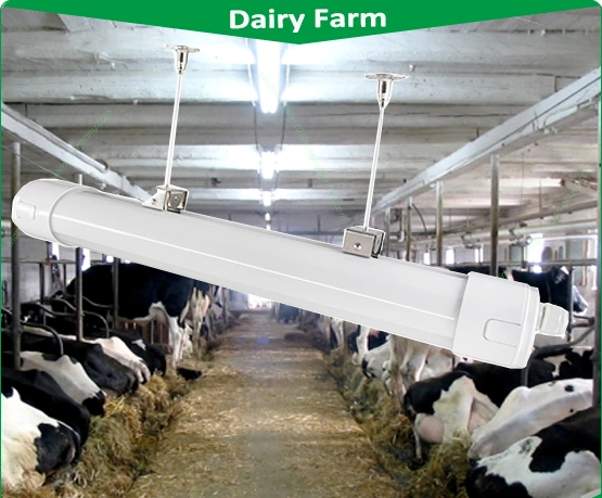 Anti-Ammonia Waterproof LED Linear Light for Dairy Farm and Food Factory