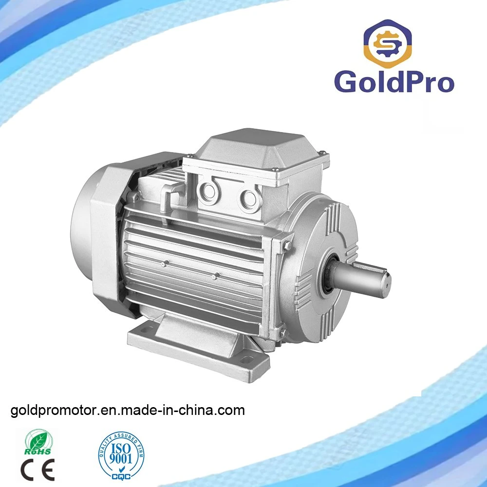 Ms Ys IEC Standard Aluminium Housing High Efficiency Good Quality Electric Motor