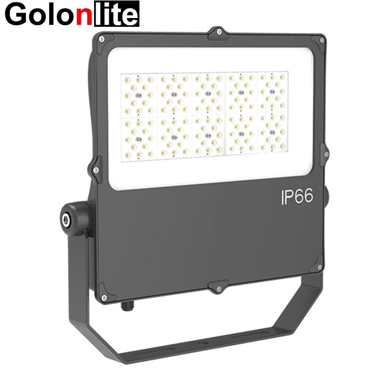 P50 Asymmetric Angle Outdoor LED Spotlight LED Flood Lamp 80W