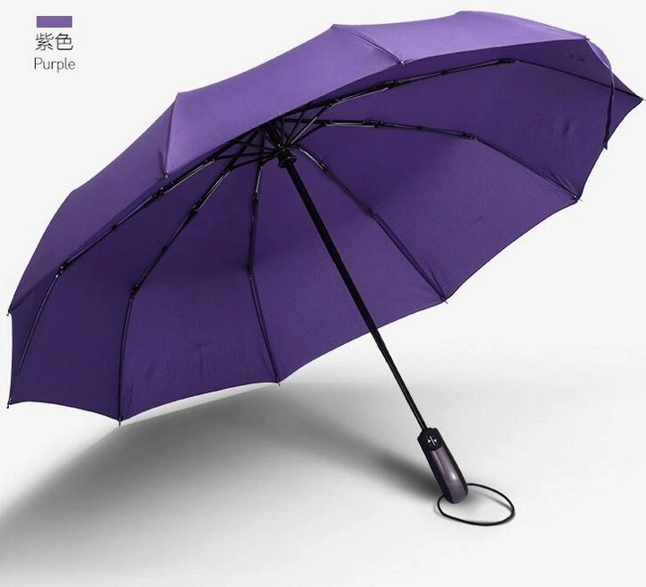 Full Automatic Ten Stick Double Tri-Folded Business Umbrella