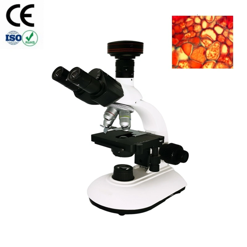 Binocular LED 40X-1600x microscopio Biológico médico para laboratorio