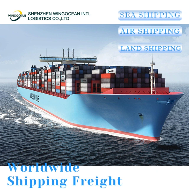 Best International Logistic From China to UK/ Germany/ France/ Spain/ Italy Sea DDP Shipping Agent
