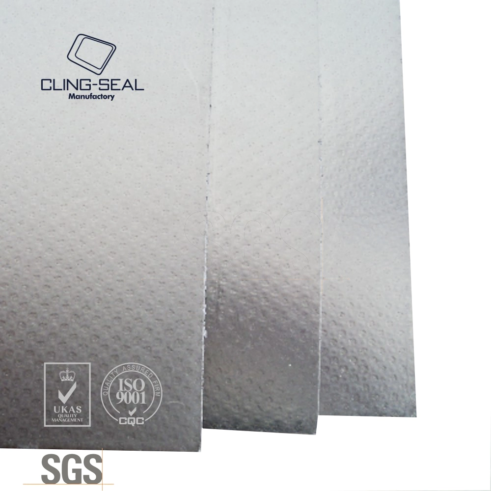 with SS304 Tanged Insert Reinforced Graphite Sheet