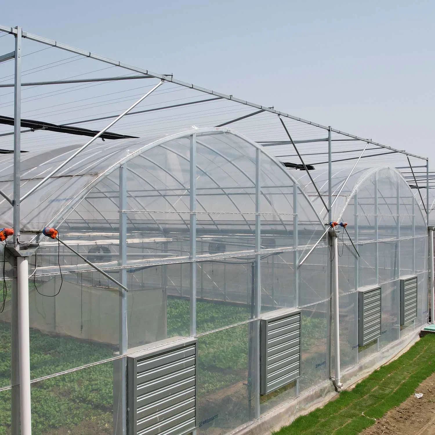 Agriculture/Commerce Multi Span Toughe Glass Green House for Vegetable/Flower/Fruits with Complete System/Hydroponic Systems/Automatic Irrigation System