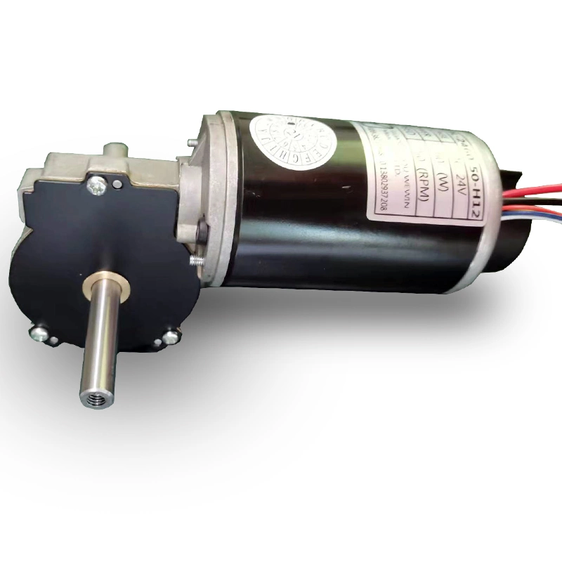 Juicer Worm Motor 24V High Torque DC Gear Motor 100 Rpm Dual Shaft