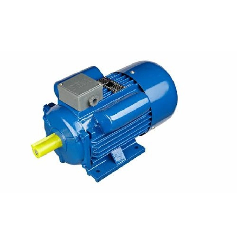 CE 110V/220V 50Hz 60Hz 1HP 2HP/1.5kw 3HP/2.2kw 4HP/3kw 5HP/3.7kw Yc/Ycl/Yl Capacitor Start Single Phase Induction Electric Motor for Pump Centrifugal Machines