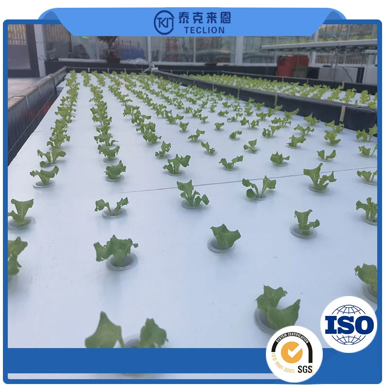 Nft Channel System Hydroponics Agricultural Leafy Vegetable Hydroponics System Professional Chinese Manufacturer