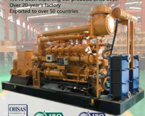 10kw -1000kw Biogas Engine Cogenerator Biogas Electric Generator