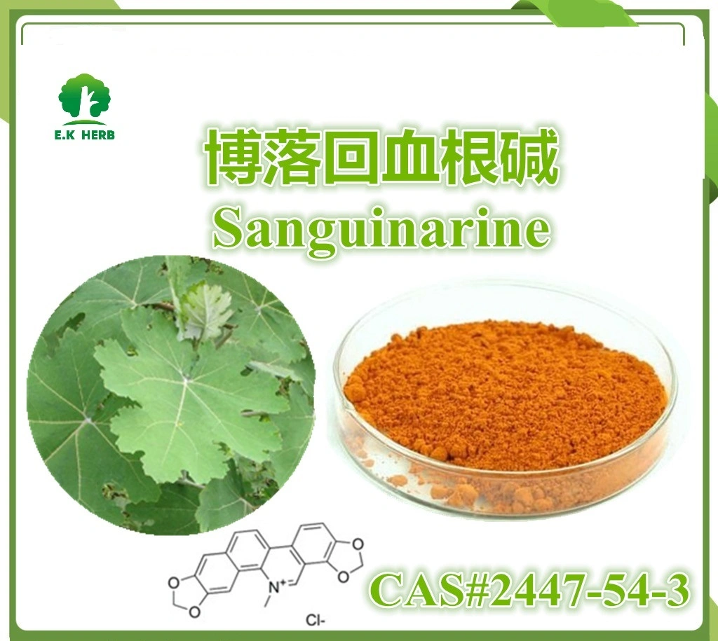 E. K Herb Factory 60% Sanguinarine Powder Macleaya Cordata Extract no CAS 2447-54-3