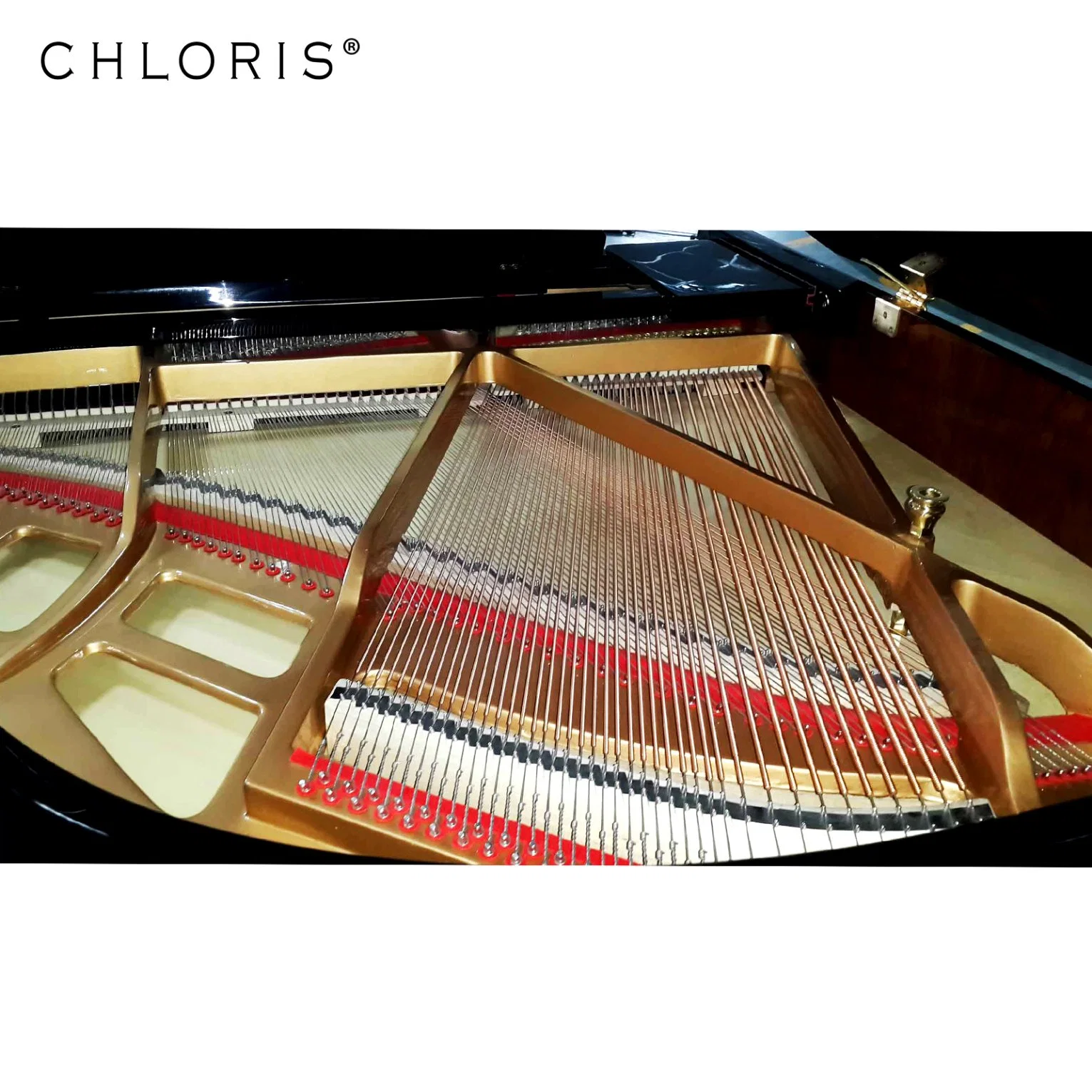 Alemania Chloris fieltros de Apt Grand Piano HG168e con el teclado para la venta