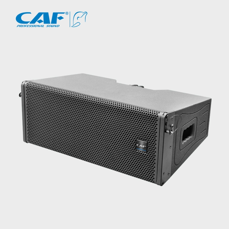 Zwei passive Line-Array-Sound-System-Lautsprecher mit 8inch Bässen