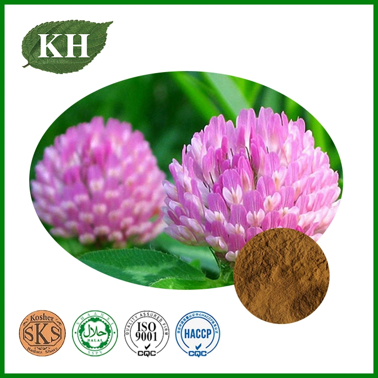 Health Protection 8% Isoflavons HPLC Red Clover Extract