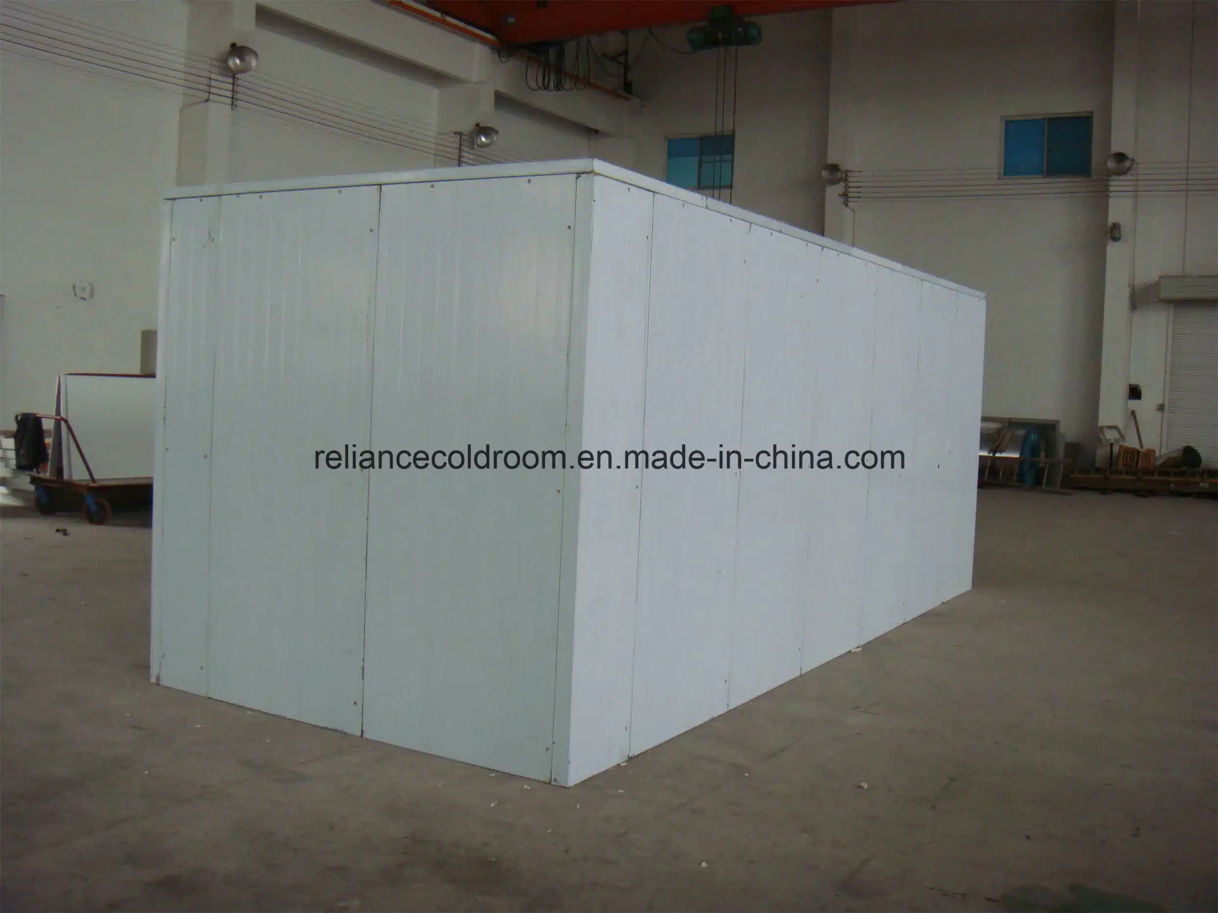 Commercial Freezer Room Refrigeration Parts Wail in Freezer for Sale