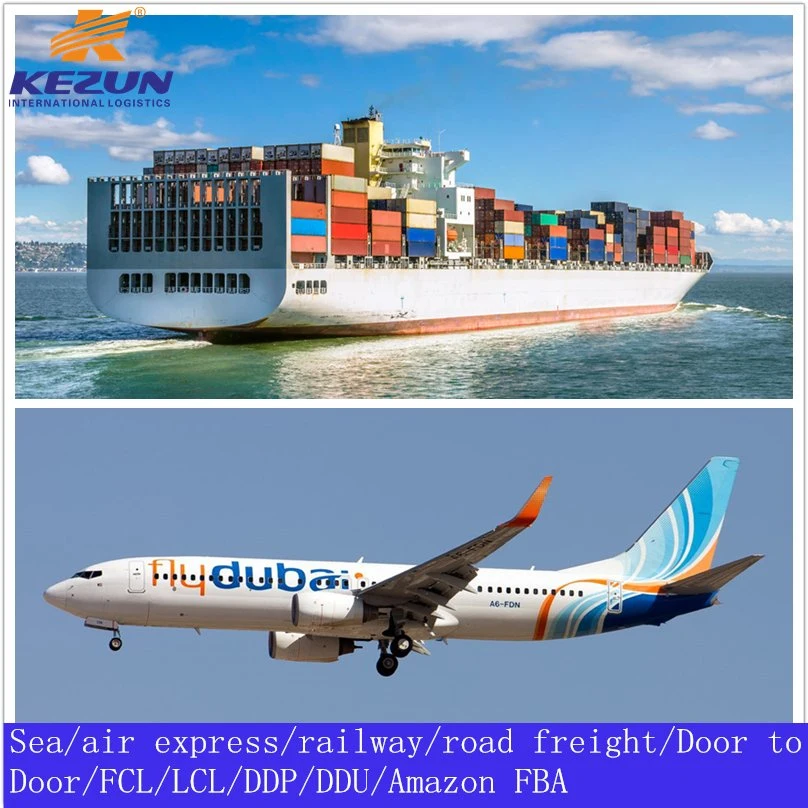 Dongguan Freight Forwarder Sea Freight Shipping Company From China to Portugal Fast Shipping