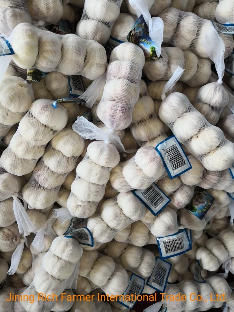 China Fresh Garlic in Cheap Market Garlic Price