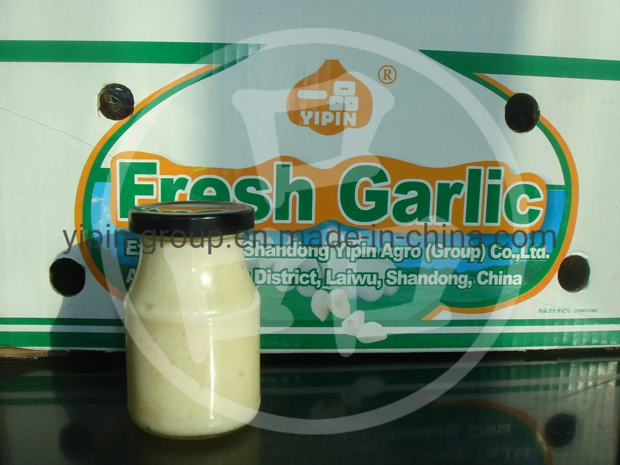 Food Grade Fresh Garlic Paste