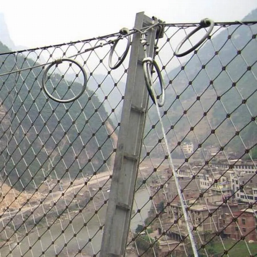 Rockfall Mesh Fence/ Flexible Protection Wire Rope Netting/Ring Mesh/Sns Fence