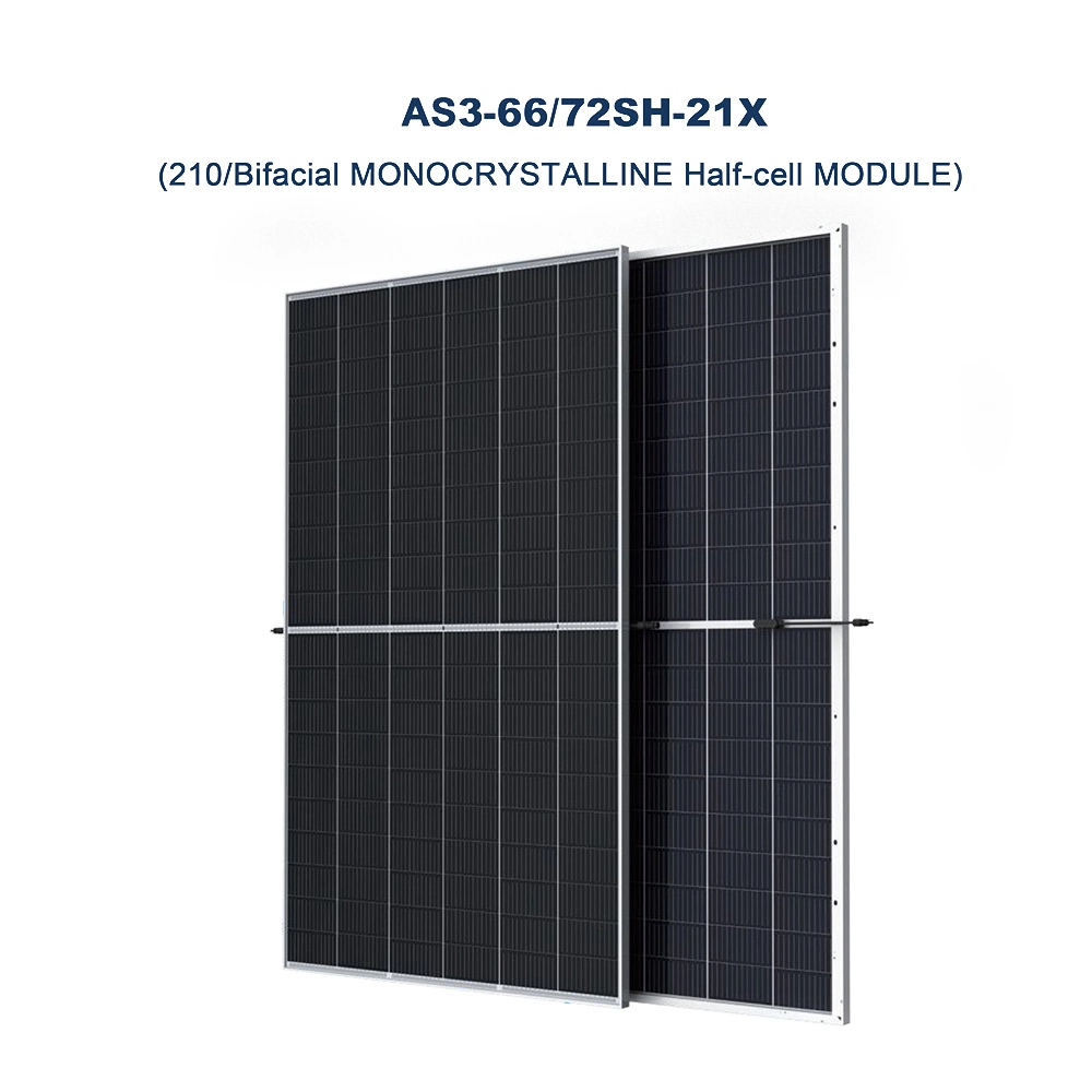 Module photovoltaïque en silicium monocristallin rentable.